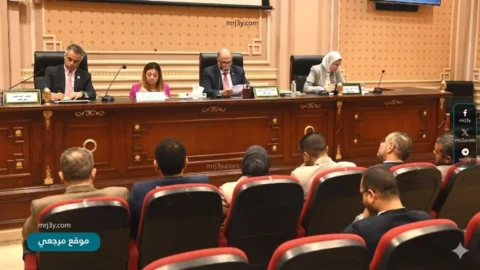 لجنة التضامن بالنواب