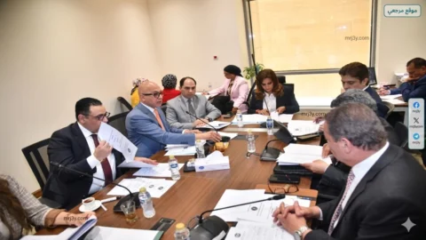 لجنة السياحة بالنواب تناقش دعم الطيران منخفض التكاليف في مصر
