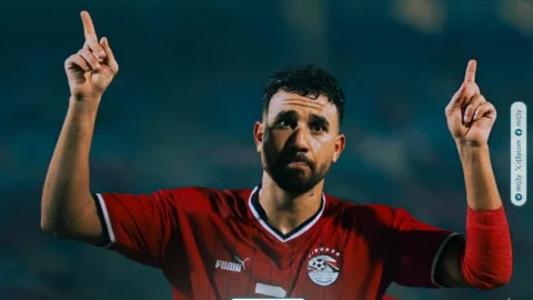 محمود حسن تريزيجيه