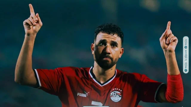 محمود حسن تريزيجيه