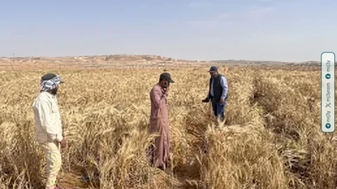 مركز بحوث الصحراء