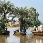 إزالة 2445 تعديا على المجاري المائية بمصر