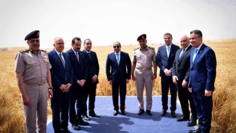 مشروع الدلتا الجديدة
