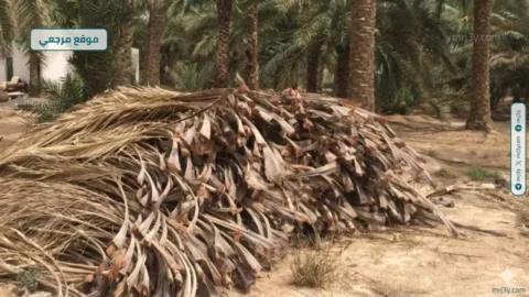 مشروع سعودي