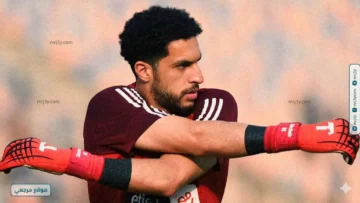 مصطفى شوبير
