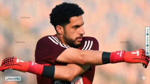 مصطفى شوبير