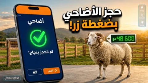 منصة أضاحي 2026