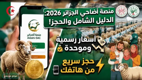 منصة أضاحي 2026