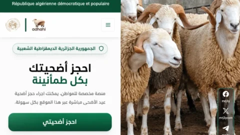 منصة أضاحي الجزائر