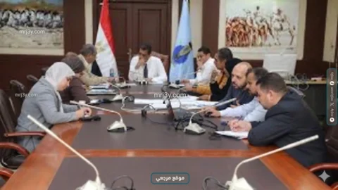 مهرجان الغردقة