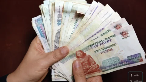 موعد صرف معاشات يونيو 2026