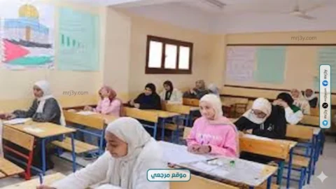نتائج الجيزة