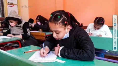 نتائج النقل