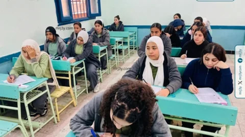 نتائج صفوف النقل