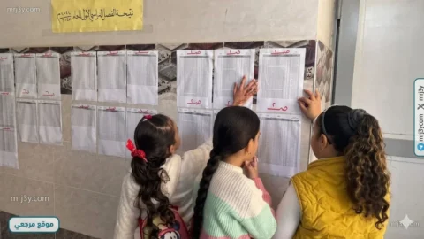 نتيجة الصف السادس الابتدائي 2026