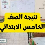 نتيجة خامسة ابتدائي بالجيزة 2026 تقترب بعد انتهاء أعمال التصحيح