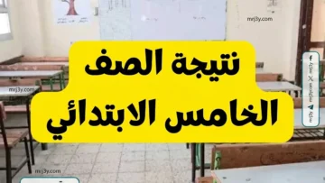 نتيجة خامسة ابتدائي بالجيزة