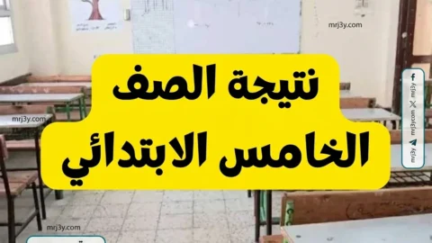 نتيجة خامسة ابتدائي بالجيزة