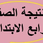 نتيجة رابعة ابتدائي بالقاهرة متاحة الآن عبر الموقع الإلكتروني