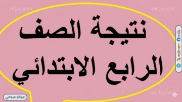 نتيجة رابعة ابتدائي بالقاهرة