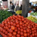 هبوط الطماطم 5 جنيهات يغيّر خريطة أسعار الخضروات بسوق العبور اليوم الأحد 10 مايو 2026