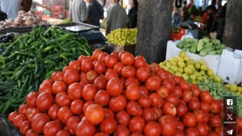 أسعار الخضروات اليوم