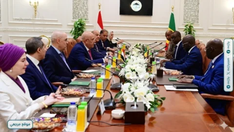 هشام بدوي يبحث مع رئيس البرلمان السنغالي دعم التعاون الإفريقي