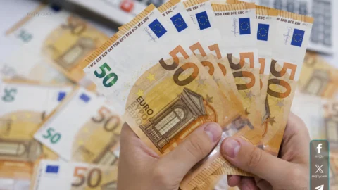 سعر اليورو اليوم