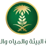 وزارة البيئة تعلن ارتفاع الأمن الغذائي وتجاوز الإنتاج 16 مليون طن