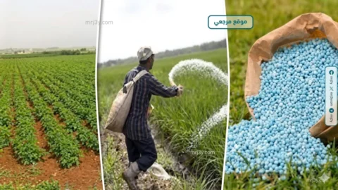 وزارة الزراعة