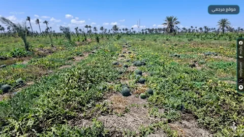وزارة الزراعة