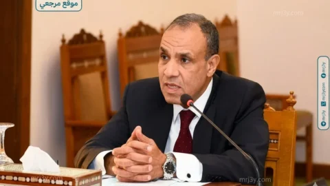 وزير الخارجية المصري