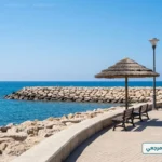 وزير الري يبحث مشروعات حماية الشواطئ المصرية لمواجهة التغير المناخي