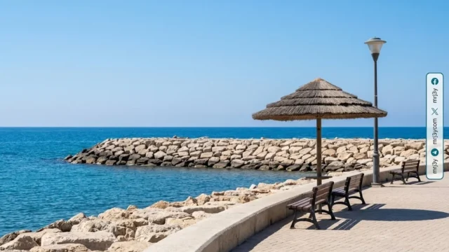 وزير الري يبحث مشروعات حماية الشواطئ المصرية لمواجهة التغير المناخي
