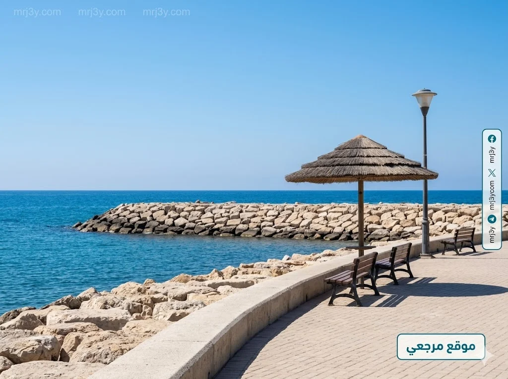 حماية الشواطئ