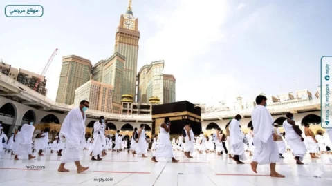وصول 4410 من حجاج القرعة المصريين الى المدينة المنورة